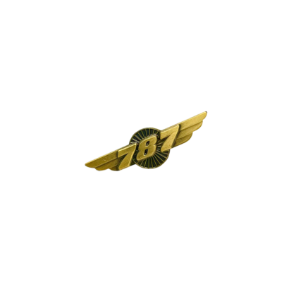 Pin B787 Boeing alas aviation aviacion